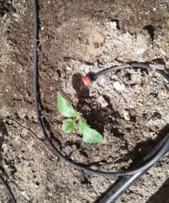 Rain Bird T22-250S Drip Irrigation 1/4" Blank Distribution Tubing, 250' Roll, Black 15 91bUkpR 3tL