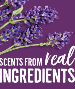 Seventh Generation Liquid Laundry Detergent, Fresh Lavender & Blue Eucalyptus scent, 150 oz, 99 Loads (Packaging May Vary) 14 91bfPDqzpVL