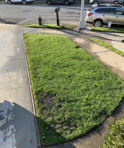 Scotts Turf Builder Grass Seed Fall Overseeding Mix, Thickens & Strengthen to Help Prevent Future Weeds, 15 lbs. 15 lb. 34 91boBrecH9L