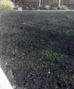 Jonathan Green (12005) Black Beauty Sun & Shade Grass Seed - Cool Season Lawn Seed (7 lb) 7 lb 19 91c0lz64kvL