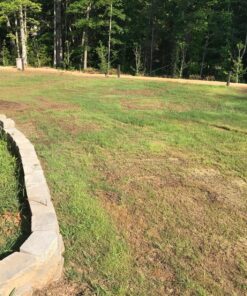 Scotts Turf Builder Grass Seed Bermudagrass, Mix for Full Sun, Built to Stand Up to Heat & Drought, 5 lbs. 5 lb. 95 91c51teiTXL