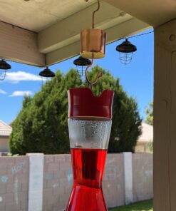 Skinny Ant Moat with Guard for Hummingbird Feeders - Gets Rid of Ants Fast in Nectar Feeder. All Natural & No Chemicals Needed. 38 91cBdfSGp4L