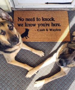 Flex Seal, 14 oz, Black, Stop Leaks Instantly, Waterproof Rubber Spray On Sealant Coating, Perfect for Gutters, Wood, RV, Campers, Roof Repair, Skylights, Windows, and More 14 Ounce (Pack of 1) 30 91cNvtxbUWL