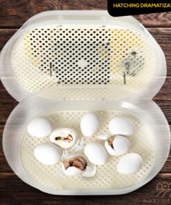 HatchMate™ Egg Incubator with Automatic Egg Turning and Humidity. Small & Portable for Hatching 9-12 Eggs. Hatch Chickens Quail Duck Turkey Parakeet & More Tabletop Incubator for Home or School Classroom 29 91cfVVvQ0zL