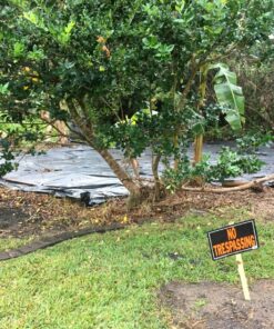 POLY AMERICA 410B 10-Feet X 100-Feet 4 Mil Black Plastic Sheeting 12 91cg2vlyu7L