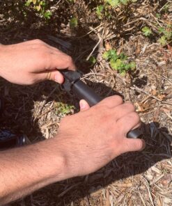 IdeaWorks JB7356 Solar Paw Print Outdoor Lights, Black 28 91cg6fWtjDL