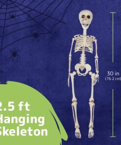 PREXTEX 30” Halloween Skeleton for Halloween Décor & Day of The Dead Décor - 2.5 ft Full Size Halloween Plastic Skeleton with Movable Joints for Best Halloween Skeletons Decoration - Indoor & Outdoor 30 inches 13 91d4Tl bWL