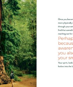 Forest Bathing Retreat: Find Wholeness in the Company of Trees 18 91d4b5LnFCL