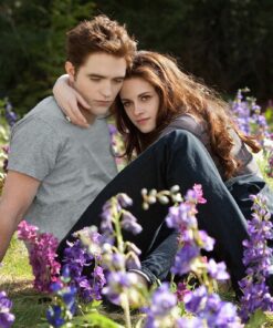 The Twilight Saga: Breaking Dawn - Part 2 DVD March 2, 2013 31 91dDMf8V20L
