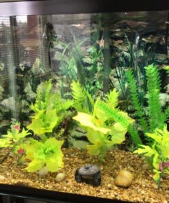 Tetra SafeStart Plus, For Newly Set-Up Fish aquariums, 100 ml, 3.38-Ounce 20 91dOZCwiZAL