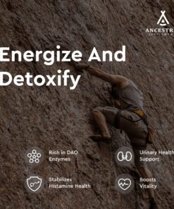 Ancestral Supplements Grass Fed Beef Kidney Supplement, 3000mg, DAO Enzyme Supplement, Kidney Support for Urinary and Histamine Health, Selenium, B12, Non GMO, 180 Capsules 180 Count (Pack of 1) 19 91dVRP6OTyL