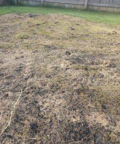 Jonathan Green (10840) Fast Grow Grass Seed - Cool Season Lawn Seed (7 lb) 7 pounds 32 91dkp5E2b4L