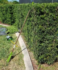 EGO Power+ HT2400 24-Inch 56-Volt Lithium-ion Cordless Hedge Trimmer - Battery and Charger Not Included Green 24in Trimmer NO BATTERY/CHARGER 28 91dnwHVCnL