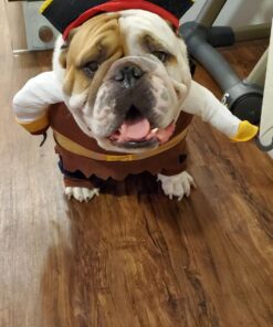 NACOCO Pet Dog Costume Pirates of The Caribbean Style (Large) L Brown 36 91drrqqLbQL