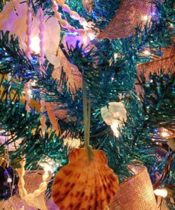 Impress Life Decorative String Lights, Sea Glass Festive Beach Themed 10 ft 40 LEDs Battery&USB Cord Operated Eco-Friendly with Multi-Function Remote for Tent Wedding Nursery Bedroom Party Ornament 42 91duxl h5rL