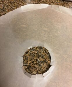 Chuzy Chef Set of 9 Dehydrator Sheets - Baking Mat Teflon Dehydrator Sheet - 14'' X 14'' Food Dehydrator Tray Liners Non Stick Sheets Baking Mat Food Dryer Sheet For Excalibur 20 91e57NnYCUL