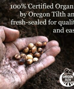 7 Varieties of Leafy Power Green Organic Seeds, Non-GMO Seeds for Planting, Heirloom Seeds - Spinach Seeds, Arugula, Kale, Lolla Rossa Lettuce Seeds, Buttercrunch, Gourmet Mix Lettuce, Swiss Chard 34 91eHwFfB70L