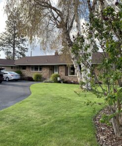 Jobe’s, 01660, Fertilizer Spikes, Tree & Shrubs, Includes 15 Spikes, 12 ounces, Brown 48 91ePsqqLL