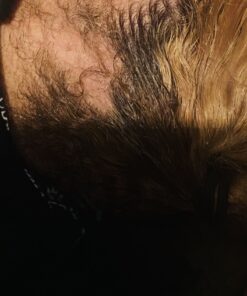 Wild Growth Hair Oil 4oz "Pack of 2" 4 Fl Oz (Pack of 2) 45 91eSk3Tlf8L