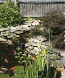 TetraPond Submersible Flat Box Filter, For 250 To 500 Gallon Ponds 29 91f2IF2Z01S