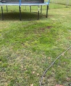 Scotts EZ Seed Patch & Repair Sun and Shade Mulch, Grass Seed, Fertilizer Combination for Bare Spots and Repair, 20 lb 20 lb. 1 Pack 45 91f2hkoPVZL 1