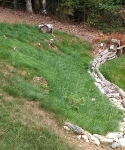 Jonathan Green (10622) Black Beauty Dense Shade Grass Seed - Cool Season Lawn Seed (1 lb) 1 lb 31 91f7BUIdONL