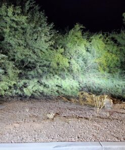 Nilight LED Light Bar 31Inch 198WOff Road Driving Light Spot Flood Combo Rooftop Led Bar Work Light 24V 12V for Van Camper Wagon Car Pickup ATV UTV SUV Truck Boat, 2 Years Warranty 43 91fKtYx1FVL