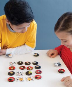 Alternative view of Niya - a game by Bruno Cathala