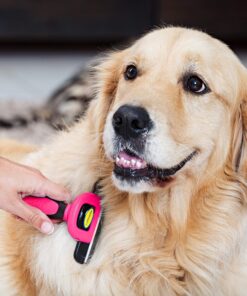 DakPets Pet Deshedding Tool | Professional Cat and Dog Brush for Shedding | Fur Deshedding Brush and Pet Hair Remover for Cats and Dogs | Stainless Steel Cat and Dog Shedding Brush for Pet Grooming Hot Pink 39 91faDUtIhL