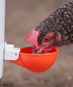 Alternative view of (4 Pack) The Original Oasis Chicken Watering Cups | Drill Bit and Hardware Included! | Fully Automatic Poultry Waterers | Qty: 4 (Orange)