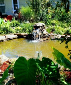 Tetra® Water Garden Pump 1900, For Waterfalls, Filters And Fountain Heads 1000 to 1500 gallons 14 91ffisxaPAL