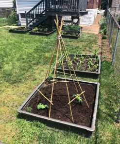 Lifetime 60069 Raised Garden Bed Kit, 4 by 4 Feet, Pack of 3 59 91fjQvJrBDL