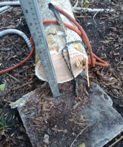 Sportsman Pocket Chainsaw 36 Inch Long Chain With Fire Starter Best Compact Folding Hand Saw Tool for Survival Gear, Camping, Hunting, Tree Cutting or Emergency Kit. Replaces Your Pruning & Pole Saw 68 91fpDGQUU8L