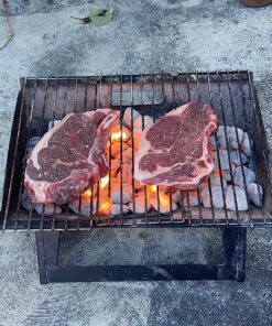 Fire Sense 60508 Notebook Charcoal BBQ Grill 3.5mm Cooking Bars Instant Foldable & Easy Portability For Outdoor Barbecues Camping Traveling Picnics Garden Beach Party - Black Charcoal Grill 42 91fs7aISVL