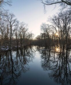 Rokinon 14mm F2.8 Full Frame Auto Focus Lens for Sony E-Mount, Black (IO14AF-E) 36 91g2zewPtKL