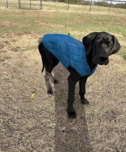 Kurgo Loft Dog Jacket, Reversible Dog Coat, Wear with Harness or Sweater, Water Resistant, Reflective, Winter Coat For Large Dogs (Coastal Blue, L) Coastal Blue/Orange 30 91g9cenRorL