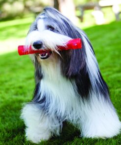 KONG - Squeezz® Ring - Strong Squeaky Dog Toy, bounces and squeaks even if punctured - For Large Dogs (Assorted Colors) 16 91gUxw5SlQL