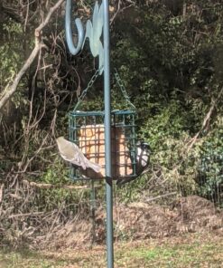 C&S Hot Pepper Delight No Melt Suet Dough 11.75 Ounces, 12 Pack Hot Pepper 12-Pack 45 91gaOkR1lkL