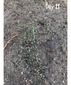 Scotts Turf Builder Grass Seed Bermudagrass, Mix for Full Sun, Built to Stand Up to Heat & Drought, 5 lbs. 5 lb. 80 91gqb Yt1PL