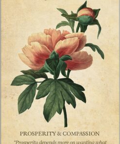 Botanical Inspirations Deck & Book Set 41 91gugJW9oYL