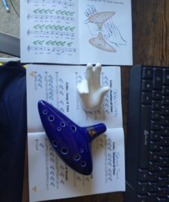 Deekec Zelda Ocarina 12 Hole Alto C with Song Book (Songs From the Legend of Zelda) with Display Stand Protective Bag Blue 25 91gyTEBnrgL