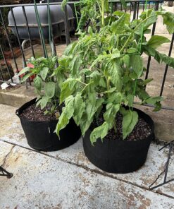 VIVOSUN 5-Pack 15 Gallon Plant Grow Bags, Heavy Duty Thickened Nonwoven Fabric Pots with Handles Black 15 Gallons 32 91h OHCwftL