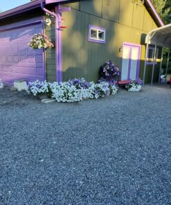 Jack's Classic Blossom Booster 10-30-20 Water Soluble Plant Food for Flowering Plants, 1.5lb 1.5 Pounds 29 91h3NA74FML