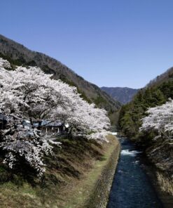 Canon EF-M 11-22mm f/4-5.6 STM Lens 22 91h7wJ59roL