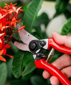 Carbon Steel Bypass Garden Shears - Ultra Sharp Blades with Safety Lock & Comfort Grip - Hand Trimmer with Sap Groove Easily Cuts Through Branches & Stems for Indoor & Outdoor Use 38 91hBEfm4ByL