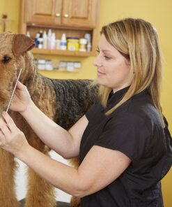 Andis 65730 Stainless-Steel Comb for Knots, Mats & Loose Hair Removal - Effective Dematting Tool, Comfortable, Lightweight, Portable & Safe for Dogs, Cats & Pets – Silver, 7-1/2-Inch 7 1/2" 20 91hL23 sQUL 1