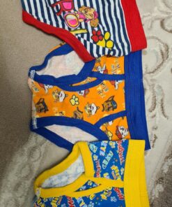 Paw Patrol Boys' 100% Combed Cotton Underwear Multipacks with Chase, Skye, Rubble & More in Sizes 18m, 2/3t, 4t, 4, 6, 8 7-pack Brief 31 91hNrSyXqiL 2