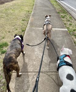 Heavy Duty 3 Dog Leash No Tangle Multiple Dog Leash Triple Dog Leash(30-200 Lbs) Double Dog Leash for 2 Dogs,360°Swivel 3 Way Dog Leash Interchangeable Two Dog Leash with Hand-Protected Handle L / For 20LBs - 150LBs Dogs Black 31 91hgeQnzt4L