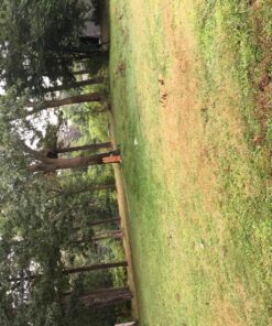 Daisy 880 Powerline Air Rifle Kit, Dark Brown/Black, 37.6 Inch/.177 Caliber 880 Shadow Plus Kit 29 91hlkDMn7WL