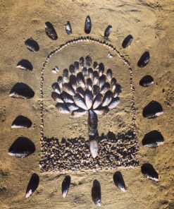 Morning Altars: A 7-Step Practice to Nourish Your Spirit through Nature, Art, and Ritual 45 91hn97ZTL